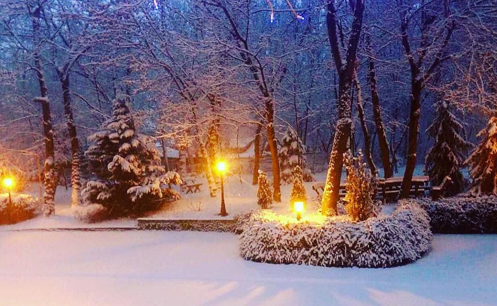 Villa Forest Beograd Eksteriør bilde